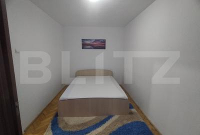 Apartament 3 camere Alexandru cel Bun - 5