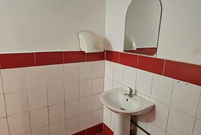 Spatiu comercial "The Stone", Suprafata utila 224 mp, Vascau - 11