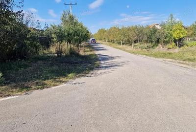 Spațiu comercial, de 2,383 mp, în Izvin - 1