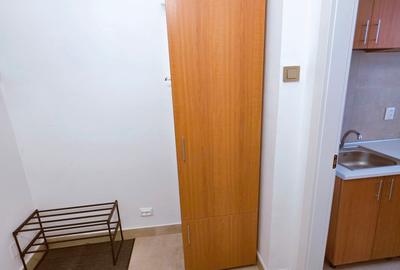 Apartament cu 2 camere semidecomandat, mobilat în Universitate - 15