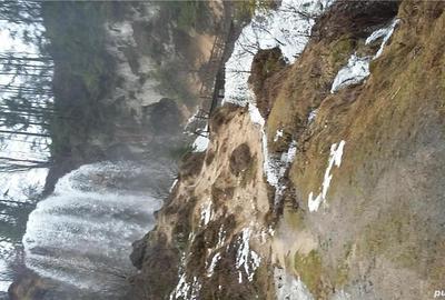 Teren de 2800 mp, în Vidra - 7