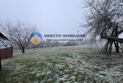 Casa si teren- Negresti - 32