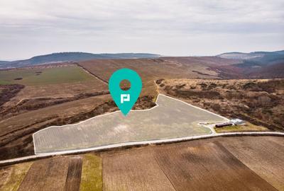 Teren agricol extravilan de 1150000 mp, în Dud - 1