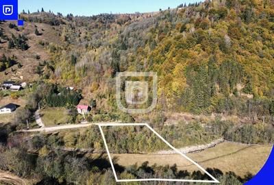Teren situat in Vama  | BUCOVINA | 6EUR mp - 4