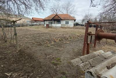 Casă cu 3 camere cu Teren 2394 Mp în Fărcășești - 5