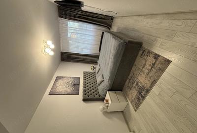 Apartament cu 3 camere decomandat în Valea Lupului - 5
