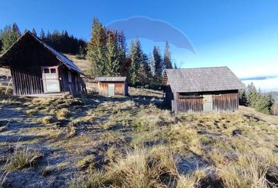 Teren extravilan de 31461 mp, în Panaci - 8