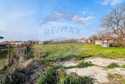 Teren Construcții intravilan de 1367 mp, în Sântandrei - 2