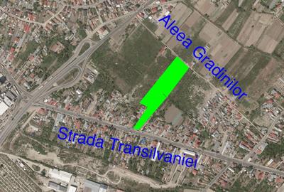 Spațiu comercial, în Crâng - 3