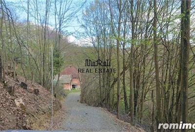 Teren de 69237 mp, în Criș - 2