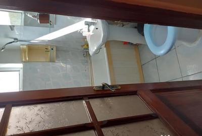 Apartament cu 2 camere semidecomandat, mobilat în Central - 5