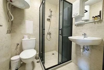 De inchiriat apartament 1 camere in zona Torontalului - 2