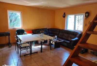 Casă cu 3 camere cu Teren 62 Mp în Gura Râului