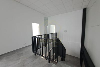 COM 0% Hale servicii, birouri și depozitare de inchiriat  | Giarmata-Vii - 9