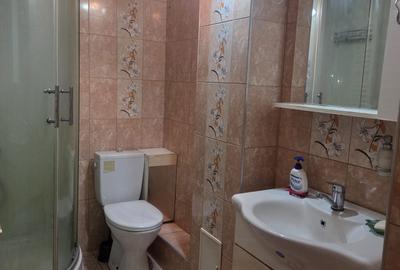Apartament cu 2 camere decomandat în Șelimbăr - 7