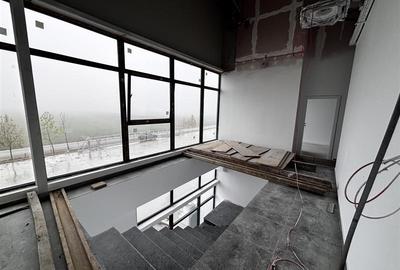 Spațiu industrial, de 7,014 mp, în Biharia - 17