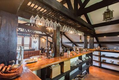 Casă cu 7 camere cu Teren 4000 Mp în Izvorani - 3