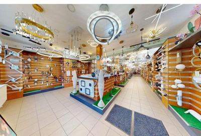 Descopera Loca?ia Ideala pentru Afacerea ?i Locuin?a Ta - 8