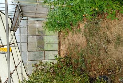 Vand casa la 20 Km de Tulcea - 3