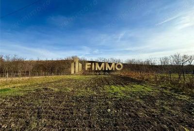 Casă cu Teren 1900 Mp în Plopeni - 5