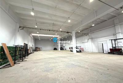 HALA DEPOZITARE / PRODUCȚIE 700 mp  Tesatura/Baza 3 - 3