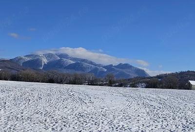 Teren de 5000 mp, în Pănicel - 4