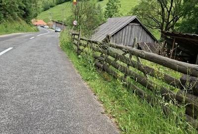 Teren de 4000 mp, în Băișoara - 5