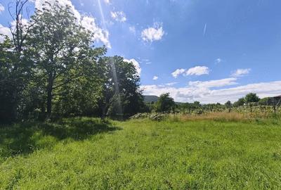 Teren de 2000 mp, în Fedeleșoiu - 2