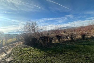 Teren Construcții intravilan de 1080 mp, în Rășinari - 4