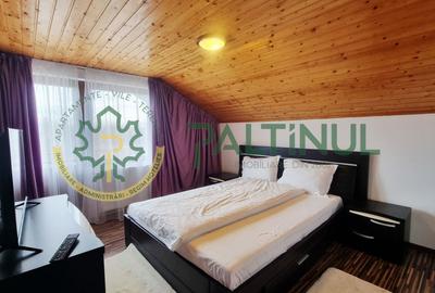 Casă P+M de vânzare – Valea Avrigului, 4 camere, teren 500 mp - 11