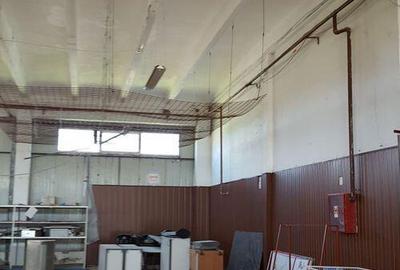 Spa?iu depozitare si productie Ciolpani - 23