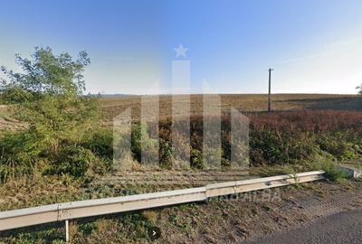 Teren agricol extravilan de 15000 mp, în Aurel Vlaicu - 3