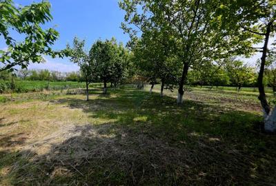 Teren Construcții intravilan de 4516 mp, în Doina - 20