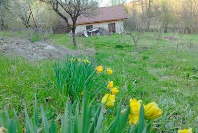 Casa Teren Refugiu - 3