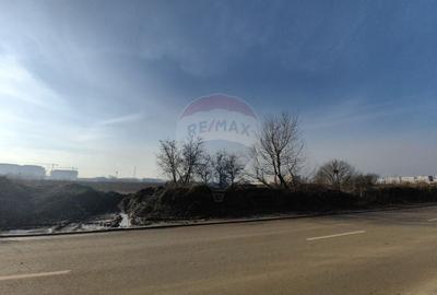 Teren Construcții intravilan de 10000 mp, în Periferie - 3