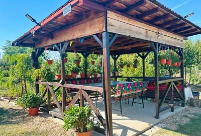 Casă spațioasă P+M de vânzare – Sat Bila, jud. Giurgiu (40 km de București) - 12