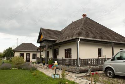 Casa tradi?ionala renovata (2023), 3 anexe, 22.696 mp teren zona Leghin, Neamt