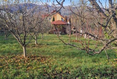 Casa moderna, cu livada, foi?or ?i garaj, Pucioasa, Dambovita - 10