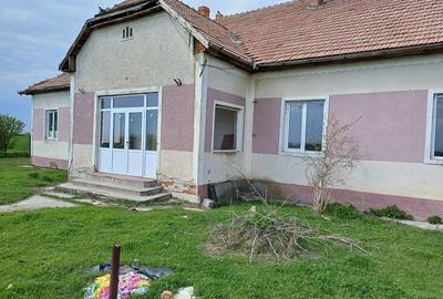 Casă cu Teren 1500 Mp în Pădureni - 1