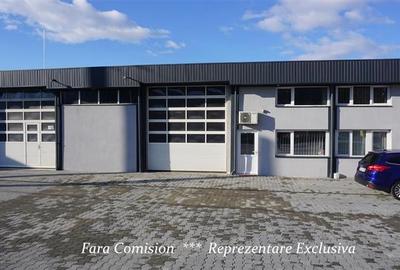 HALA + BIROURI, PARCARE GENEROASA - 2