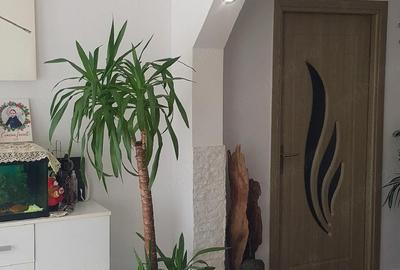Apartament cu 3 camere decomandat în Central - 10