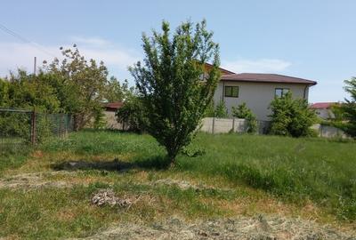 Mogosoaia, str Ariei, nr 2 - 5
