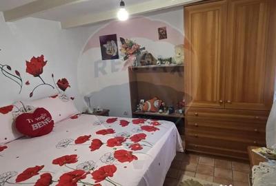 Casă cu 4 camere cu Teren 614 Mp în Stânca (Ștefănești) - 13