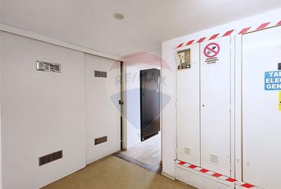 Inchiriere Spatiu Industrial/Productie | Mihai Bravu | Oportunitate! - 18