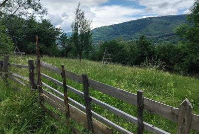 Teren de 1200 mp, în Valea Doftanei - 7