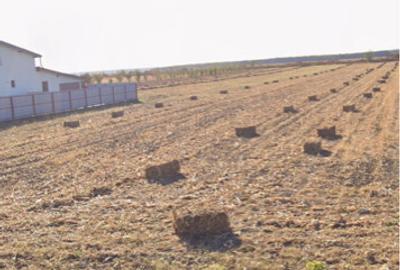 Teren intravilan 4036 mp Prahova, Mane?ti, Zalhanaua - 3