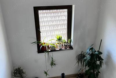 Apartament cu 3 camere semidecomandat în Dumbrăvița - 7