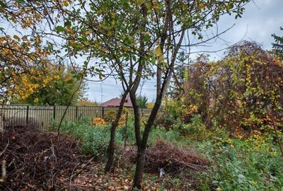 Casa locuibila cu 3 camere, 1700 mp teren deschidere 30 m, DOMNESTI - 10