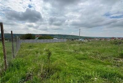 Teren Construcții intravilan de 500 mp, în Betfia