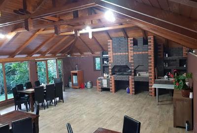 Casă cu 4 camere cu Teren 5000 Mp în Central - 10
